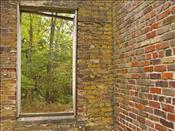 AK - Natures Window